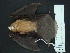  ( - MAMX-209)  @13 [ ] Unspecified (default): All Rights Reserved  Unspecified Unspecified