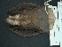  ( - MAMX-210)  @11 [ ] Unspecified (default): All Rights Reserved  Unspecified Unspecified