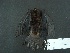  ( - MAMX-211)  @11 [ ] Unspecified (default): All Rights Reserved  Unspecified Unspecified