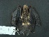  ( - MAMX-211)  @11 [ ] Unspecified (default): All Rights Reserved  Unspecified Unspecified