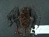  ( - MAMX-212)  @11 [ ] Unspecified (default): All Rights Reserved  Unspecified Unspecified