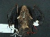  ( - MAMX-212)  @11 [ ] Unspecified (default): All Rights Reserved  Unspecified Unspecified