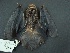  ( - MAMX-230)  @11 [ ] Unspecified (default): All Rights Reserved  Unspecified Unspecified