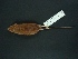  ( - MAMX-240)  @11 [ ] Unspecified (default): All Rights Reserved  Unspecified Unspecified