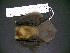  ( - MAMX-280)  @11 [ ] Unspecified (default): All Rights Reserved  Unspecified Unspecified