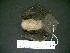  ( - MAMX-280)  @11 [ ] Unspecified (default): All Rights Reserved  Unspecified Unspecified