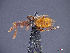  ( - cvb014ecbi001)  @12 [ ] No Rights Reserved  Christoph von Beeren TU Darmstadt