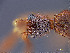  ( - cvb014ecbi001)  @12 [ ] No Rights Reserved  Christoph von Beeren TU Darmstadt