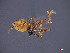  ( - cvb014ecbi001)  @12 [ ] No Rights Reserved  Christoph von Beeren TU Darmstadt
