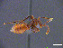  ( - cvb020ecbi001)  @12 [ ] No Rights Reserved  Christoph von Beeren TU Darmstadt