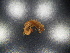 ( - JB_W_0141)  @11 [ ] CreativeCommons Attribution NonCommercial ShareAlike (2021) (2021) University of Lodz University of Lodz