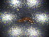  ( - JB_W_0237)  @11 [ ] CreativeCommons Attribution NonCommercial ShareAlike (2021) (2021) University of Lodz University of Lodz