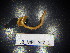  ( - JB_MPL_SCZ_1)  @11 [ ] CreativeCommons - Attribution Non-Commercial Share-Alike (2025) Unspecified University of Lodz, Department of Invertebrate Zoology and Hydrobiology