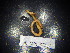  ( - JB_MPL_SCZ_2)  @11 [ ] CreativeCommons - Attribution Non-Commercial Share-Alike (2025) Unspecified University of Lodz, Department of Invertebrate Zoology and Hydrobiology