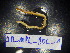  ( - JB_MPL_BOL)  @11 [ ] CreativeCommons - Attribution Non-Commercial Share-Alike (2025) Unspecified University of Lodz, Department of Invertebrate Zoology and Hydrobiology