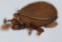  ( - 09PROBE-01391)  @12 [ ] CreativeCommons - Attribution (2009) Unspecified Centre for Biodiversity Genomics