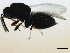  ( - MZEUR-0120)  @12 [ ] CreativeCommons - Attribution (2010) Miles Zhang 2010 Centre for Biodiversity Genomics