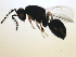 ( - MZEUR-0170)  @12 [ ] CreativeCommons - Attribution (2010) Miles Zhang 2010 Centre for Biodiversity Genomics