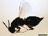 ( - MZEUR-0174)  @12 [ ] CreativeCommons - Attribution (2010) Miles Zhang 2010 Centre for Biodiversity Genomics
