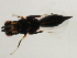  ( - MZEUR-0372)  @12 [ ] CreativeCommons - Attribution (2011) CBG Photography Group Centre for Biodiversity Genomics