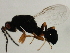  ( - MZEUR-0378)  @12 [ ] CreativeCommons - Attribution (2011) CBG Photography Group Centre for Biodiversity Genomics