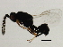  ( - MZEUR-0379)  @12 [ ] CreativeCommons - Attribution (2011) CBG Photography Group Centre for Biodiversity Genomics