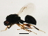  ( - MZEUR-0393)  @12 [ ] CreativeCommons - Attribution (2011) CBG Photography Group Centre for Biodiversity Genomics