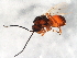  ( - MZDIP-0006)  @13 [ ] Unspecified (default): All Rights Reserved  Unspecified Unspecified