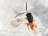  ( - MZDIP-0015)  @13 [ ] Unspecified (default): All Rights Reserved  Unspecified Unspecified