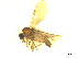  ( - BIOUG02451-A11)  @12 [ ] CreativeCommons - Attribution (2012) CBG Photography Group Centre for Biodiversity Genomics