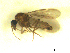  ( - BIOUG02451-B01)  @12 [ ] CreativeCommons - Attribution (2012) CBG Photography Group Centre for Biodiversity Genomics