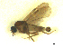  ( - BIOUG02451-B02)  @12 [ ] CreativeCommons - Attribution (2012) CBG Photography Group Centre for Biodiversity Genomics