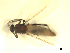  ( - BIOUG02451-C06)  @12 [ ] CreativeCommons - Attribution (2012) CBG Photography Group Centre for Biodiversity Genomics