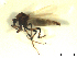  ( - BIOUG02451-C09)  @12 [ ] CreativeCommons - Attribution (2012) CBG Photography Group Centre for Biodiversity Genomics