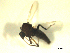  ( - BIOUG02451-D04)  @12 [ ] CreativeCommons - Attribution (2012) CBG Photography Group Centre for Biodiversity Genomics