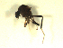  ( - BIOUG02451-D05)  @12 [ ] CreativeCommons - Attribution (2012) CBG Photography Group Centre for Biodiversity Genomics
