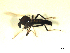  ( - BIOUG02451-D09)  @12 [ ] CreativeCommons - Attribution (2012) CBG Photography Group Centre for Biodiversity Genomics