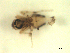  ( - BIOUG02451-E08)  @11 [ ] CreativeCommons - Attribution (2012) CBG Photography Group Centre for Biodiversity Genomics