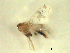  ( - BIOUG02451-E09)  @11 [ ] CreativeCommons - Attribution (2012) CBG Photography Group Centre for Biodiversity Genomics