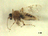  ( - BIOUG02451-E10)  @11 [ ] CreativeCommons - Attribution (2012) CBG Photography Group Centre for Biodiversity Genomics