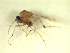 ( - BIOUG02451-E11)  @11 [ ] CreativeCommons - Attribution (2012) CBG Photography Group Centre for Biodiversity Genomics