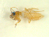  ( - BIOUG02452-B06)  @11 [ ] CreativeCommons - Attribution (2012) CBG Photography Group Centre for Biodiversity Genomics
