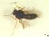  ( - BIOUG02452-B07)  @12 [ ] CreativeCommons - Attribution (2012) CBG Photography Group Centre for Biodiversity Genomics