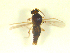 ( - BIOUG02452-B08)  @11 [ ] CreativeCommons - Attribution (2012) CBG Photography Group Centre for Biodiversity Genomics