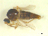  ( - BIOUG02452-B10)  @12 [ ] CreativeCommons - Attribution (2012) CBG Photography Group Centre for Biodiversity Genomics