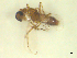  ( - BIOUG02452-B12)  @12 [ ] CreativeCommons - Attribution (2012) CBG Photography Group Centre for Biodiversity Genomics