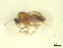  ( - BIOUG02452-C01)  @12 [ ] CreativeCommons - Attribution (2012) CBG Photography Group Centre for Biodiversity Genomics