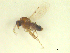  ( - BIOUG02452-C02)  @12 [ ] CreativeCommons - Attribution (2012) CBG Photography Group Centre for Biodiversity Genomics