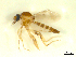  ( - BIOUG02452-D10)  @12 [ ] CreativeCommons - Attribution (2012) CBG Photography Group Centre for Biodiversity Genomics