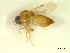  ( - BIOUG02452-E02)  @11 [ ] CreativeCommons - Attribution (2012) CBG Photography Group Centre for Biodiversity Genomics